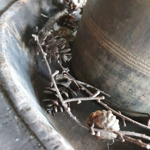 Tak met kleine dennenappeltjes