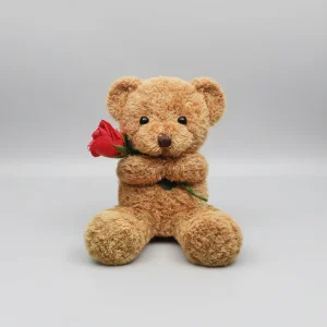 Knuffelbeer Roos Schattig Valentijnsdag Geschenk