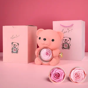 Romantische Teddybeer Behouden Roos Hart Ketting Geschenk