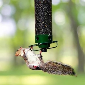 Vogelvoeder Metaal Squirrelproof Draaibaar Buiten Voederhuis